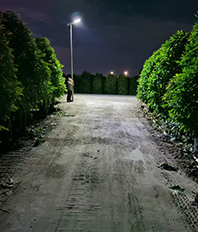 Rural Road Street Lighting Solution